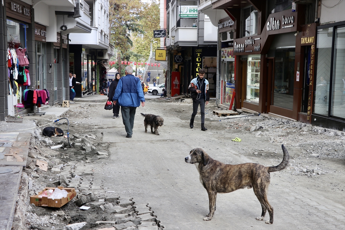 Köpeklerden kaçarken yaralanan kişiden “sahipsiz hayvanlara çözüm” çağrısı