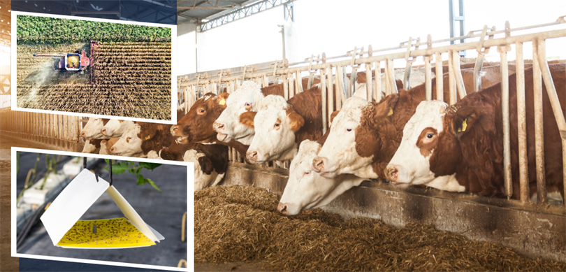 Yaklaşık 351 Milyon Liralık Tarımsal Destekleme Ödemesi Hesaplara Aktarılıyor