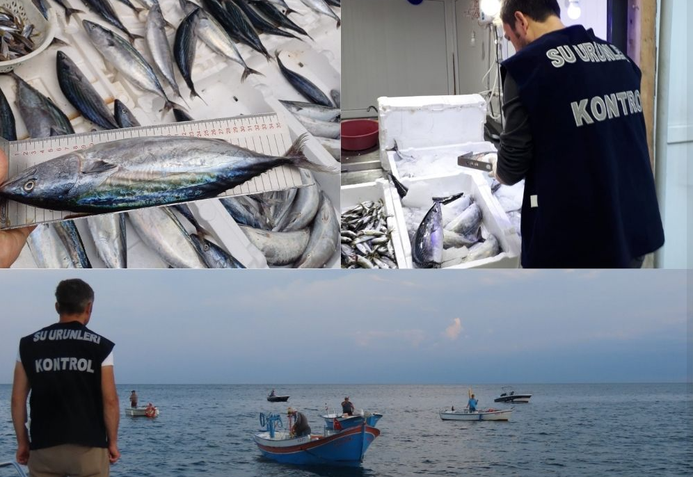 Palamut Ve Torik Av Yasağıyla Birlikte Denetimler Yoğunlaştırıldı