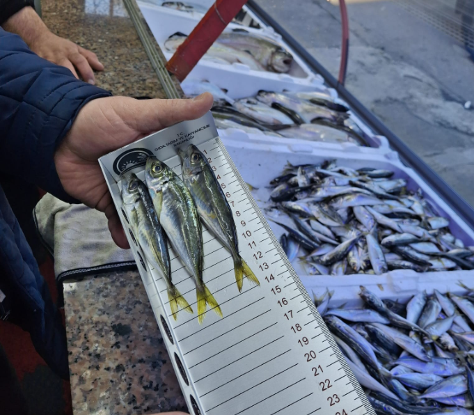 Trabzon İl Tarım ve Orman Müdürlüğü’nden Su Ürünleri Denetimleri Aralıksız Sürüyor