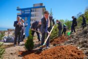 Başkan Kaya, Doğa Ve Hukuk Ormanı İçin Fidan Dikti