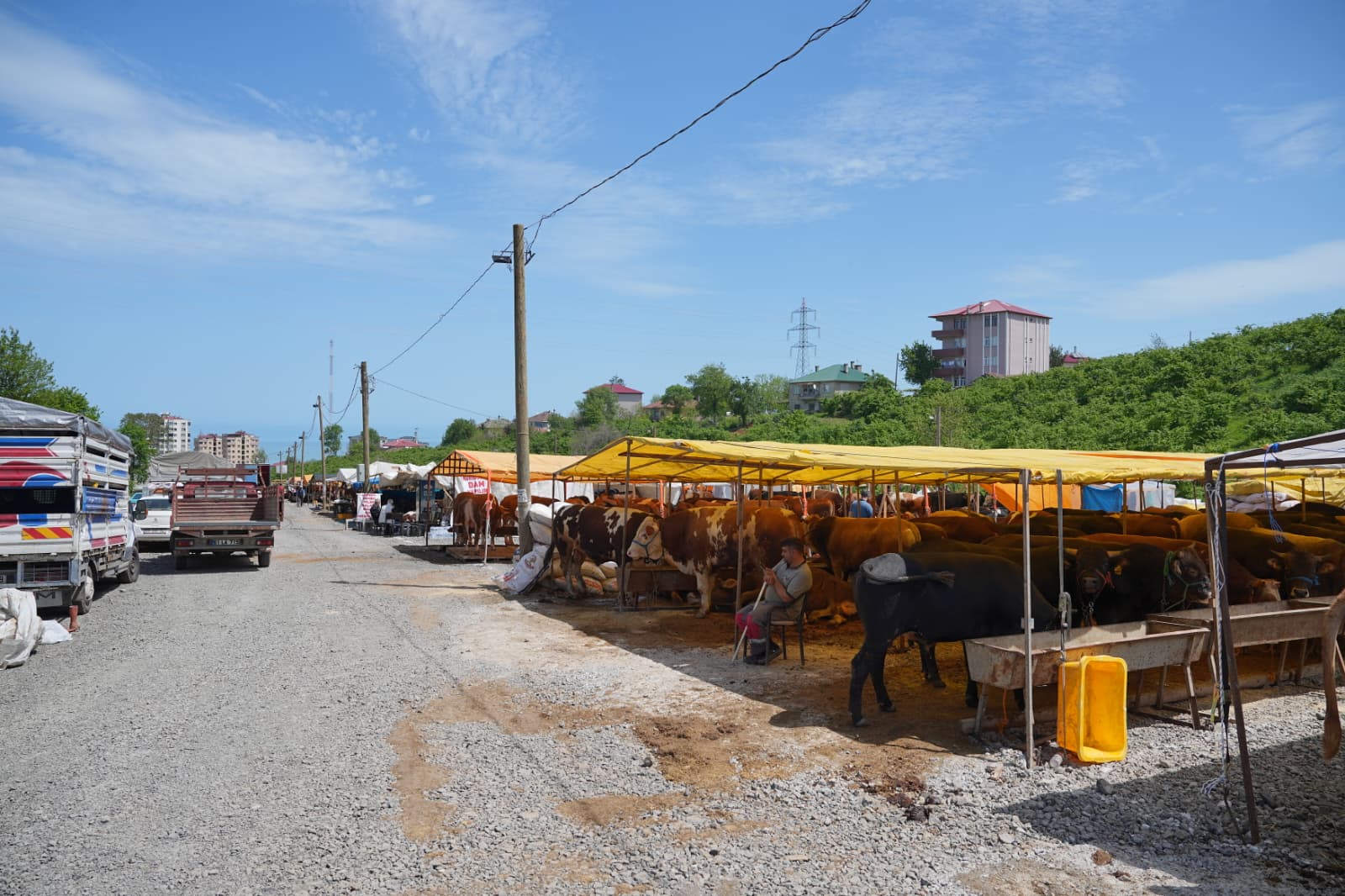 Ortahisar’da Kurban Hazırlıkları Tamamlandı