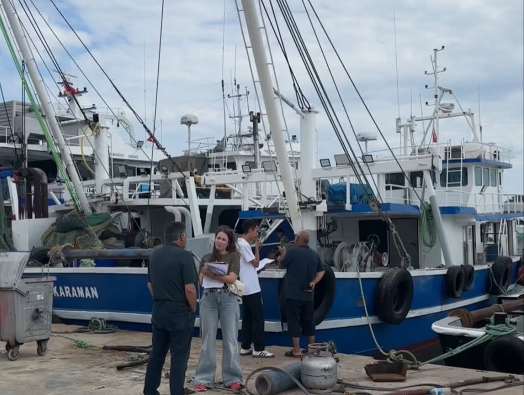 Hamsinin Değer Zinciri İçin Saha Çalışmaları Sürüyor