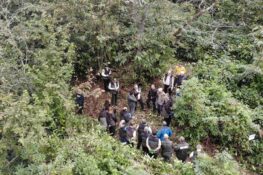 Trabzon’da Kestane Ormanları İçin Sahada İnceleme