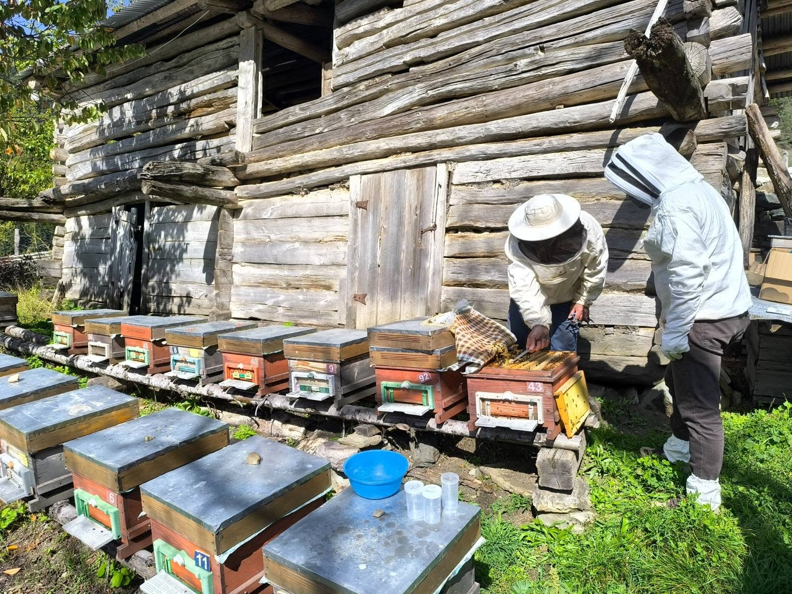 Karadeniz’de Arı Hastalıklarına Karşı Bilimsel Mücadele